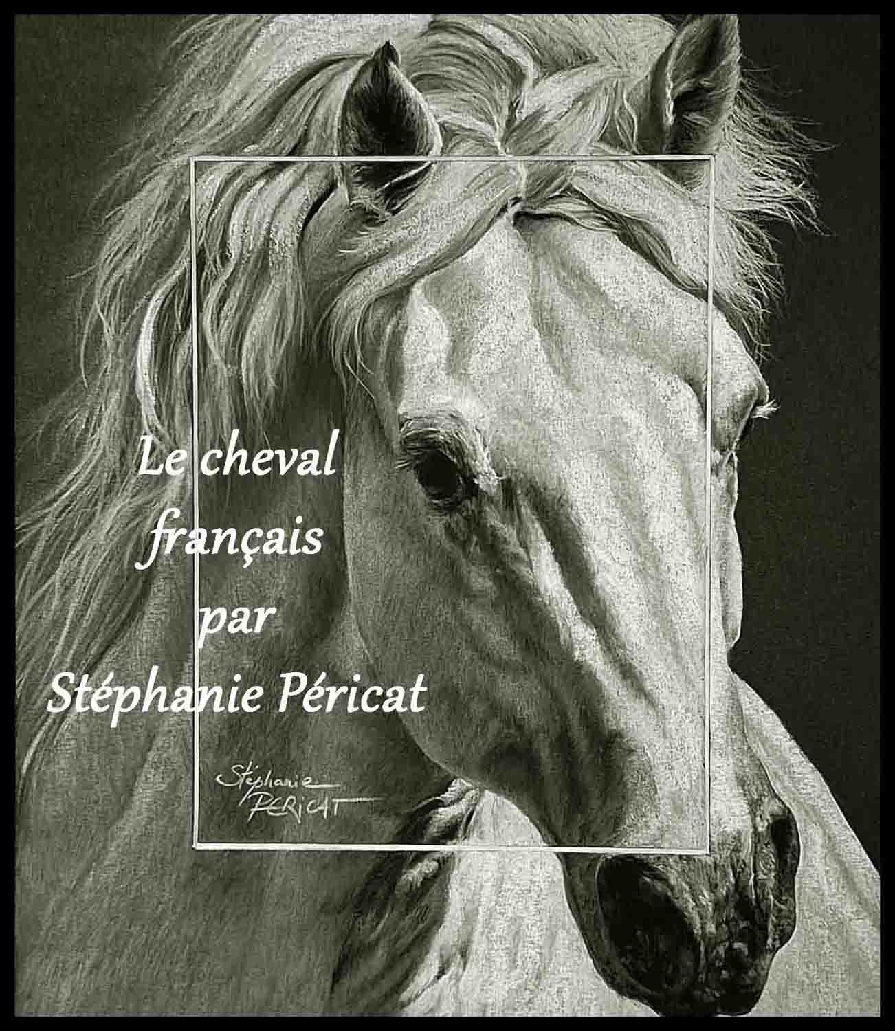 le cheval français par Stéphanie Péricat